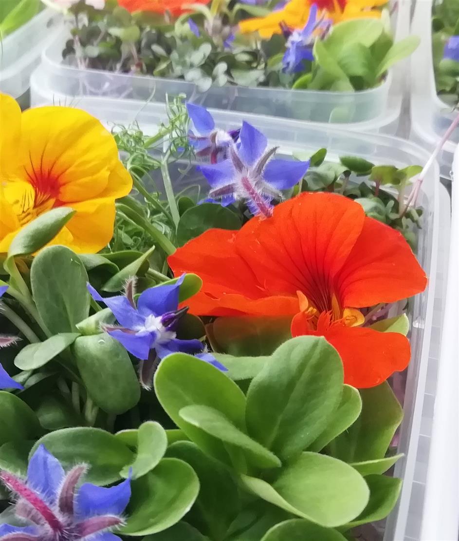 IMG_20200807_1156302