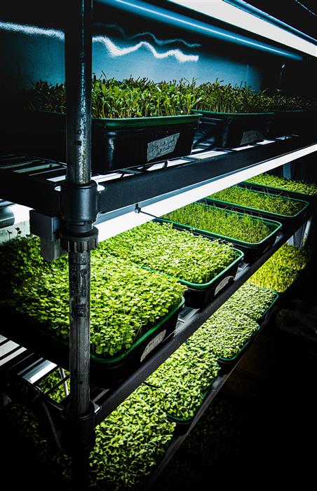 IMG_8427.CR2 (merged)